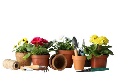 Bahçıvanlık aletleri ve saksılar beyaz bir yüzeye düzgün bir şekilde yerleştirilmiş, beyaz, PNG