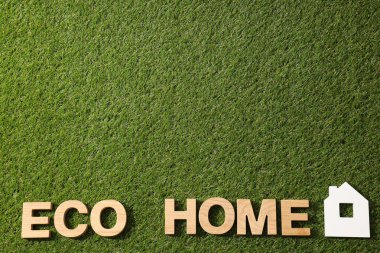 Ekolojik ev kavramı, çimlerin üzerinde bir ev..