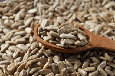 Ayçekirdeği, hasat konsepti, lezzetli atıştırmalık.