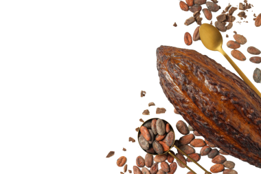 Kakao kabuğu, kakao çekirdeği ve ucu beyaz bir zemin üzerinde sergilenmiş, hammaddeleri vurguluyor, beyaz üzerine izole edilmiş, PNG