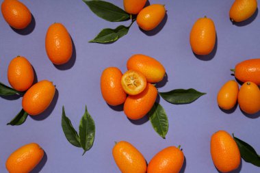 Tam ve kesim kumkat meyve ve yapraklar mor arka plan, üst görünüm