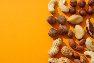 Turuncu arka planda değişik fındıklar var.