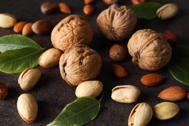 Koyu arkaplanda farklı tipte fındık var.