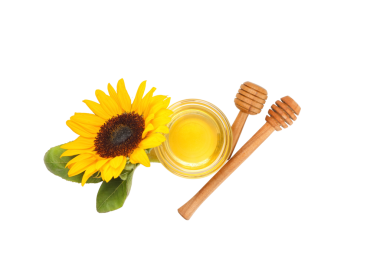 Ayçiçeği ballı bir kavanoz yağın yanında oturur, beyaz üzerine izole edilmiş, PNG