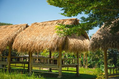 Geleneksel sazdan kulübeler yemyeşil bir çevrede yuva yapar.