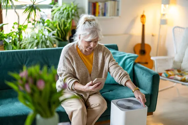 Seniorin Schaltet Mit Smartphone Luftreiniger Hause Ein Stockbild