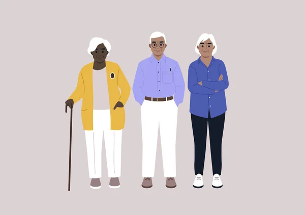 Eine Gruppe Älterer Erwachsener Voller Länge Rentnerclub — Stockvektor