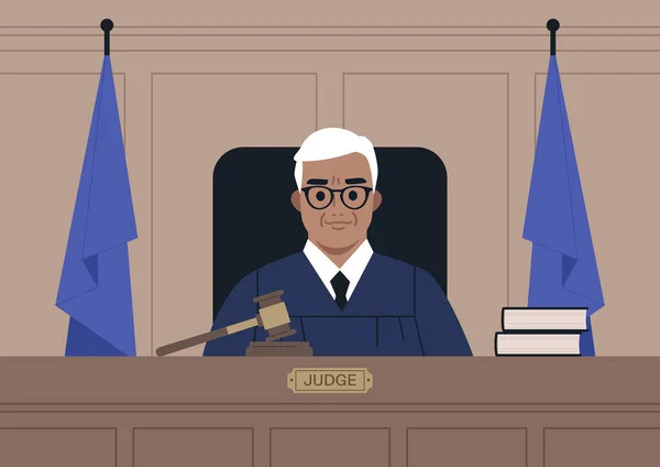 在法庭 司法和法律中穿着长袍的白人男性法官的画像 — 图库矢量图片