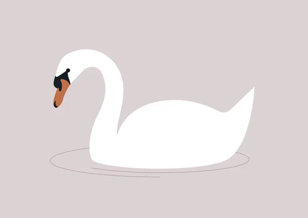 White Swan Swimming Lake Wildlife Urban Fauna — Stock Vector
