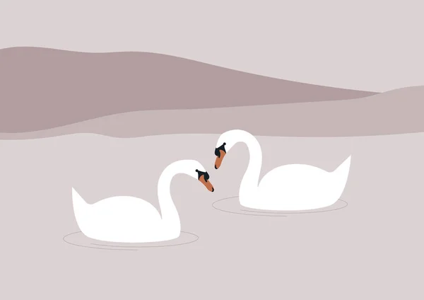 Couple Cygnes Blancs Nageant Dans Lac Faune Sauvage Urbaine — Image vectorielle
