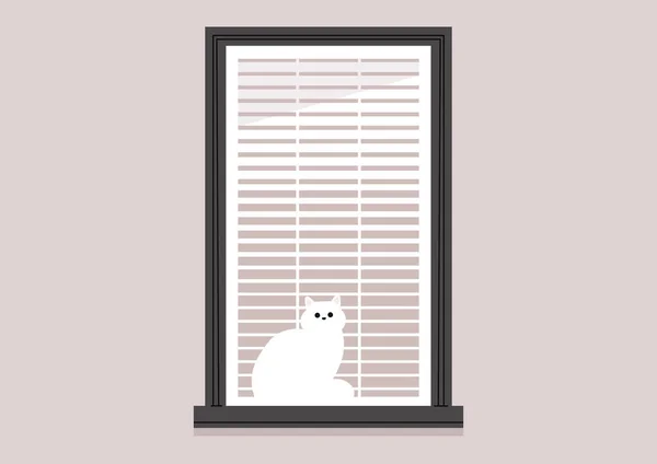 Eine Hauskatze Blickt Durch Die Fensterläden — Stockvektor
