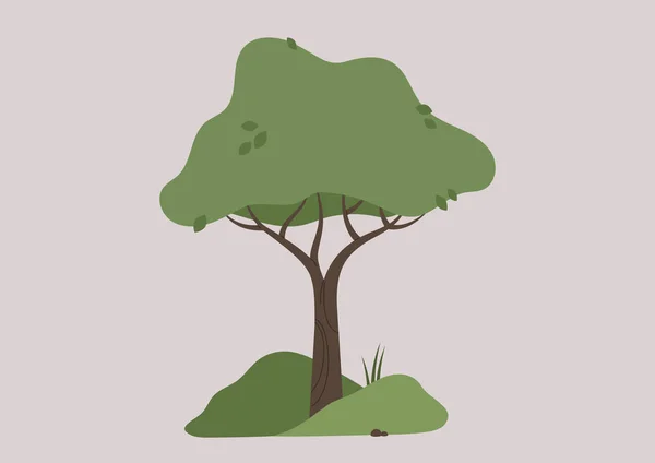 Ein Isoliertes Vektorbild Eines Baumes Mit Grünen Blättern Und Braunem — Stockvektor
