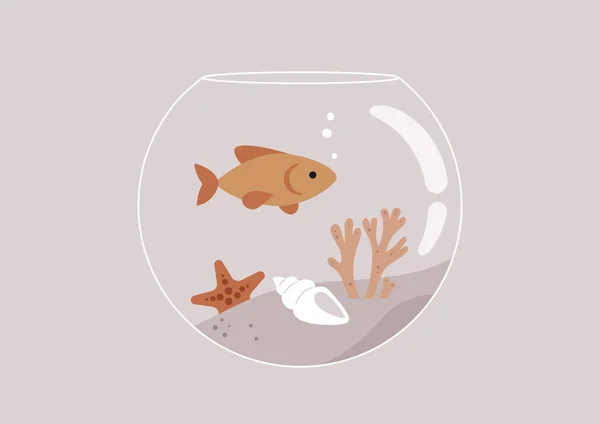 Nádrž Kulaté Ryby Korály Mořskými Lasturami Uvnitř Zlatá Rybka Plavající — Stockový vektor