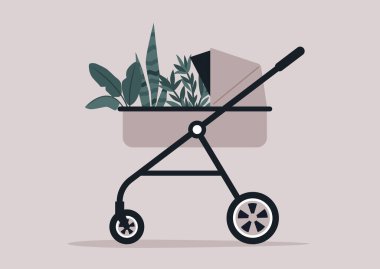 Modern bir bitki anne konsepti, ev ve bahçe bitkileriyle dolu bir bebek arabası.