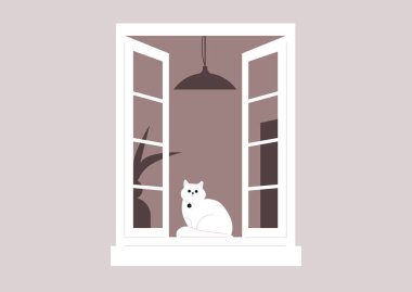 Meraklı bir kedi pencerenin kenarına tünemiş, dikkatle caddedeki aktiviteleri izliyor.