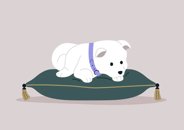 Seekor Anjing Kecil Dan Manis Samoyed Beristirahat Bantal Beludru Dihiasi Stok Ilustrasi Bebas Royalti