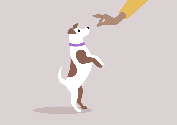 Puppy Eagerly Jumping Food Held Its Owner Outstretched Hand Creating Vector Graphics