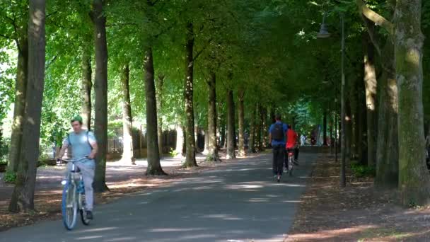 Germany Munster Circa 2022 Lots Cyclists Ride Alley Shady Trees — Stock Video