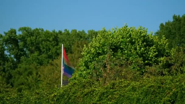 彩虹Lgbt的旗帜在蓝色天空下的天然绿树篱笆上 女同性恋 男同性恋 双性恋 变性者社会运动 同性伴侣的自由和爱的概念 — 图库视频影像