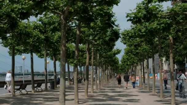 Dusseldorf Circa 2022 강변에 나무들로 이루어진 골목길을 걸어가는 사람들 — 비디오
