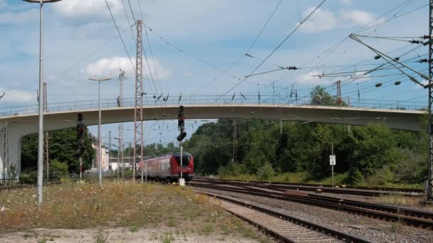 橋を背にドイツのヴッパタール駅に到着した赤い旅客列車 — ストック動画