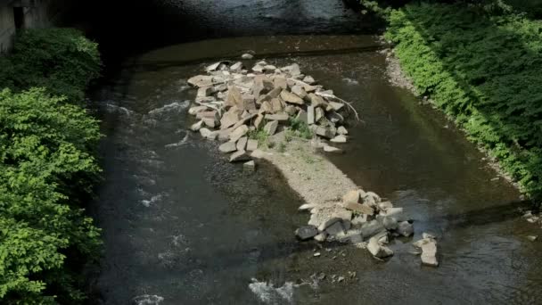 流れる小さな川の真ん中に木の形をした石の島 — ストック動画