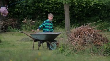 Küçük bir çocuk arka bahçedeki el arabasıyla kuru dalları kaldırmaya yardım ediyor..