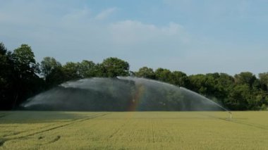 Yetiştirilen buğdaya sulama suyunu yönlendiren ve dağıtan otomatik su fıskiyesi. Suyun akıntıları arasında çok renkli bir gökkuşağı belirir..