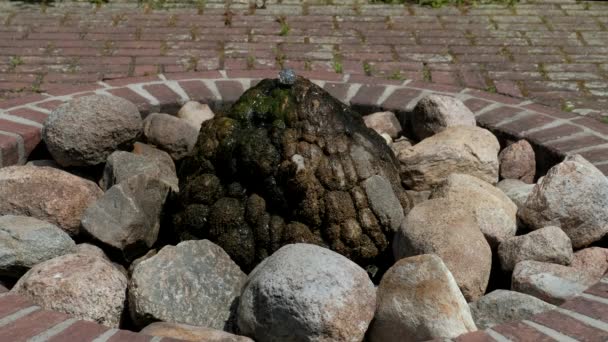 在阳光灿烂的夏季公园的山上 由火山形式的石头制成的小装饰喷泉 — 图库视频影像