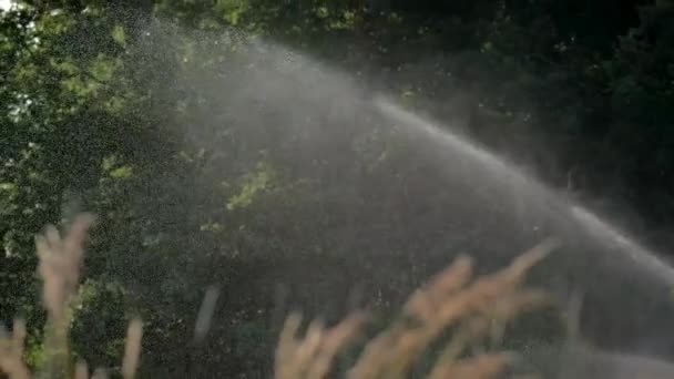 Sistema Irrigação Água Aspersor Automático Água Pulveriza Água Close Movimento — Vídeo de Stock