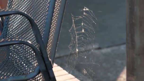 의자에 바람에 나부끼는 커다란 아름다운 거미집이 생기다 — 비디오