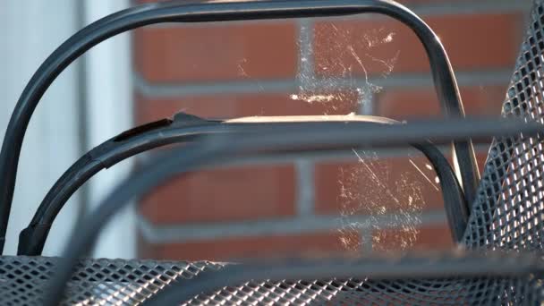 의자에 바람에 나부끼는 커다란 아름다운 거미집이 생기다 — 비디오