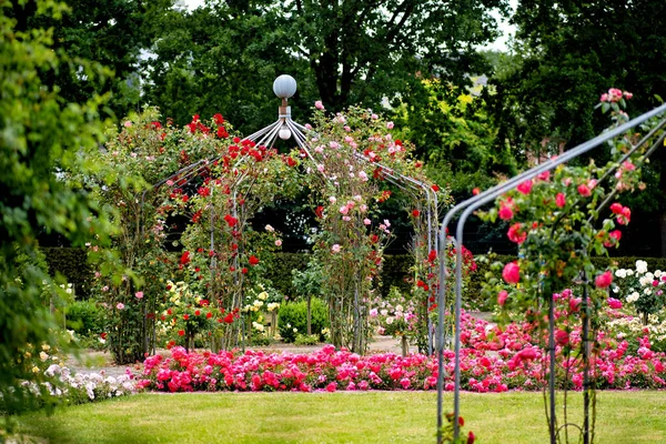 Ogród Pełen Kwiatów Obok Bujnego Zielonego Parku Wypełnionego Mnóstwem Różowych — Zdjęcie stockowe