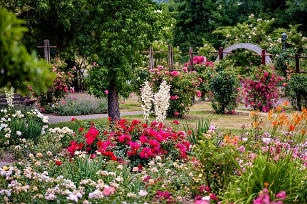 Jardin Rempli Beaucoup Fleurs Côté Parc Verdoyant Rempli Beaucoup Arbres — Photo