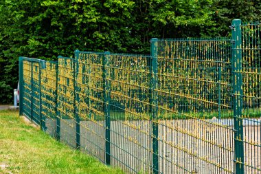 Sarı yosunlarla kaplı yeşil ağlı metal çit..