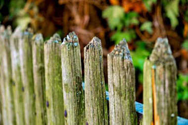 Arka planda yeşil bir çalı olan harap olmuş eski bir ahşap çitin yakın çekimi..