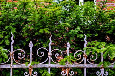 Paslanmış, arkasında yeşil bitkiler büyüyen eski bir demir çit ve Almanya 'da bir bina..