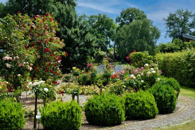 Garden filled with lots of flowers next to lush green park filled with lots of trees. clipart