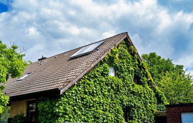 Almanya 'nın çatısında güneş paneli olan sarmaşıklarla kaplı ev..