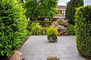 Almanya 'da çalıların arasında bir bahçede büyük bir saksı taşı bitkisi..