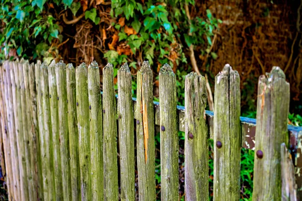 Close Old Dilapidated Wooden Fence Green Shrub Background — Stock Photo, Image