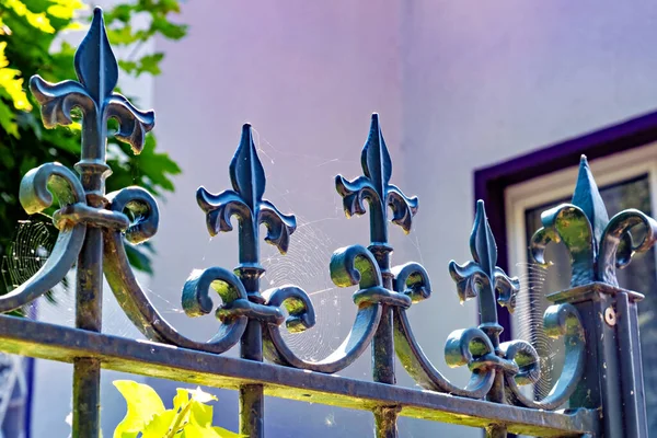 Close Metal Fence Flowers Front Building Germany — Stock Photo, Image