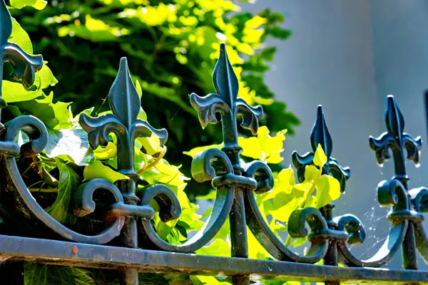 Close Wrought Iron Fence Green Leaves Background Germany — Stock Photo, Image