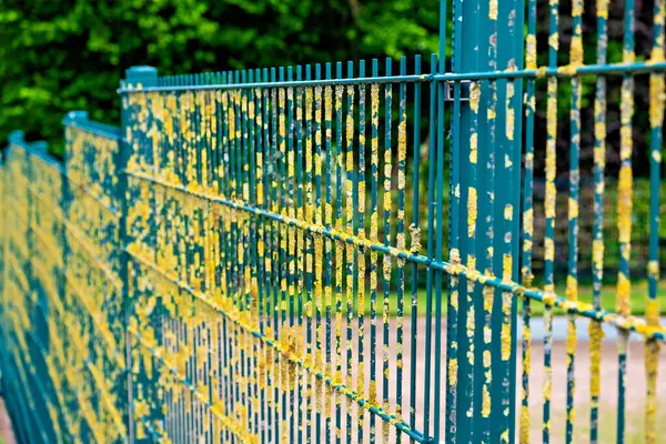 Großaufnahme Eines Metallzauns Mit Gelbem Moos Auf Den Gittern Deutschland — Stockfoto
