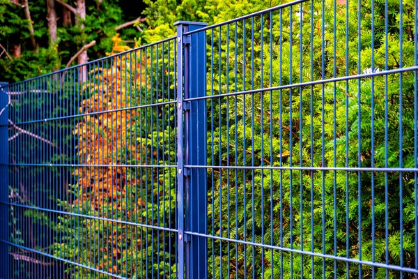 Close Blue Metal Fence Bushes Back Ground Germany — Stock Photo, Image