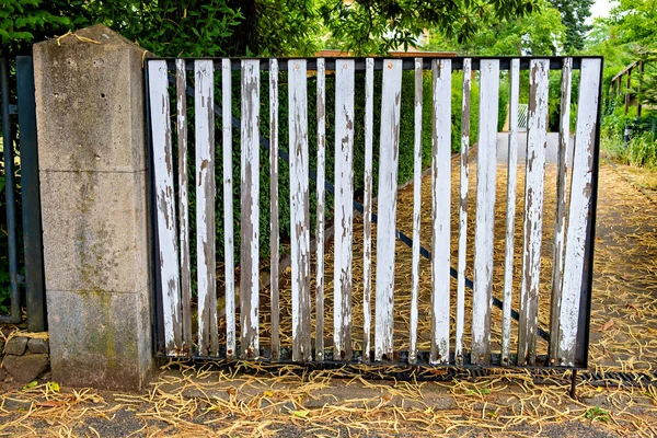 背景为绿色灌木的破旧木制围栏的特写镜头 — 图库照片