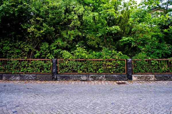Кирпичный Тротуар Металлическим Забором Деревьями Заднем Плане Германии — стоковое фото