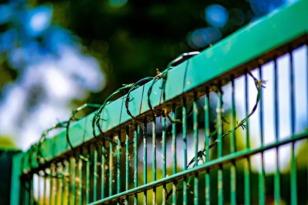 Close Fence Bunch Barbed Wire Germany — Stock Photo, Image