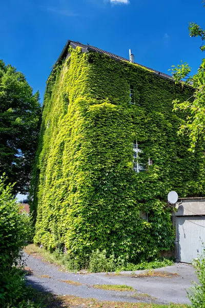 A tall house, twined with green vineyards, next to a road in Germany.