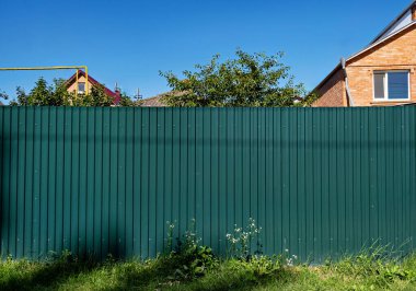 Güneşli bir günde tuğla binanın önündeki yeşil çit..
